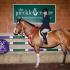 Jaeckle Centre Jumper & Hunter Shows